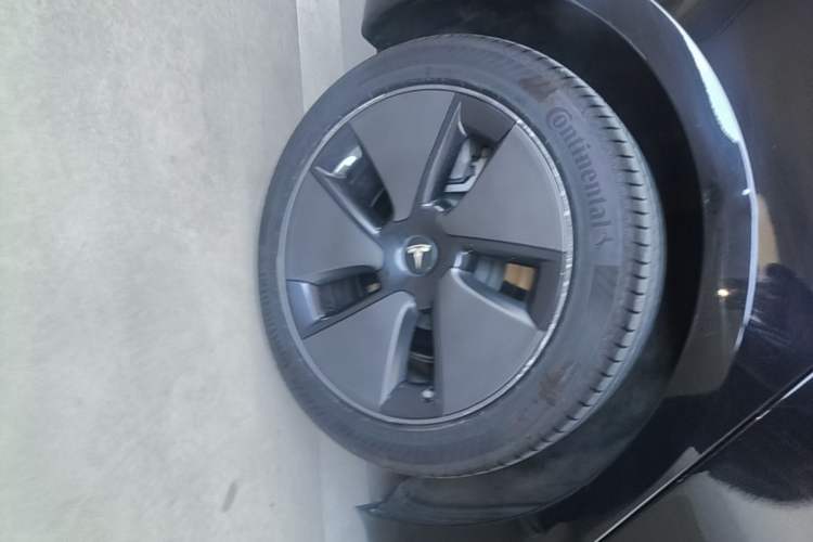 Used Tesla Model 3 2022 Rear-Wheel-Drive Version