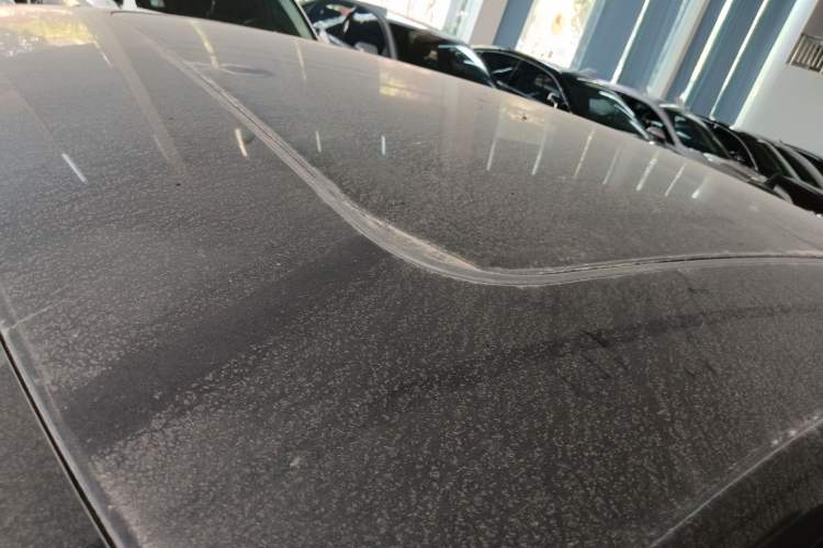 Used Volkswagen Magotan 2020 330TSI DSG Luxury Edition
