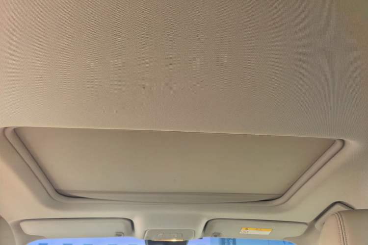 Used Buick GL8 2017 25S Luxury Version China V Standard Headliner