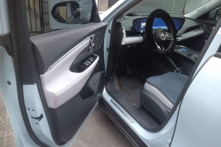 Used Buick E5 2024 Premium Standard-Range Audiovisual Edition