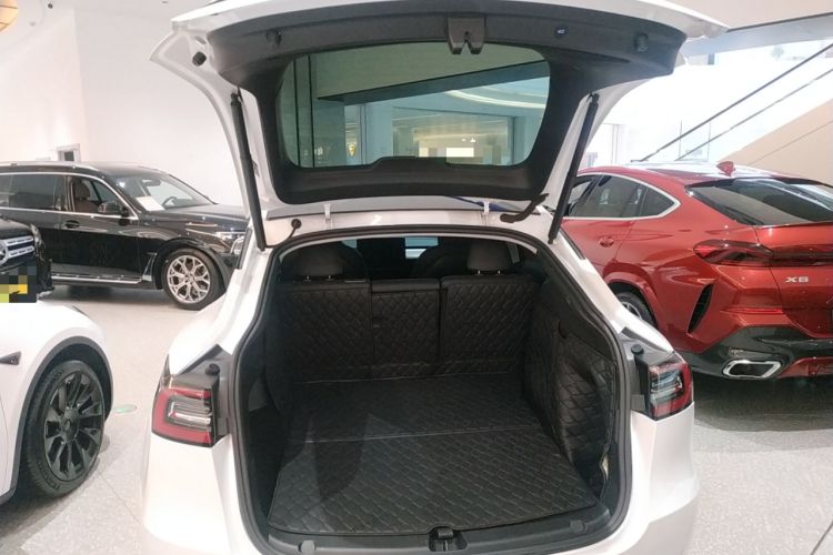 Used Tesla Model Y 2021 Standard Range Rear-Wheel Drive Version