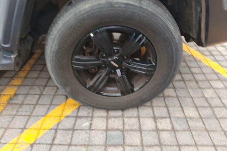 Used Tank 300 2021 Off-Road Edition 2.0T Conqueror
