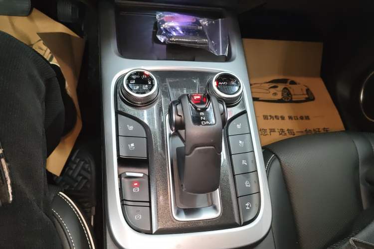 Used Tank 300 2021 City Edition 2.0T—Truly Stylish Gear Lever