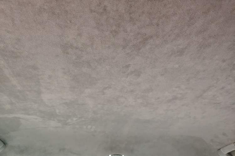 Used Porsche Cayenne 2021 Cayenne Turbo GT 4.0T Headliner