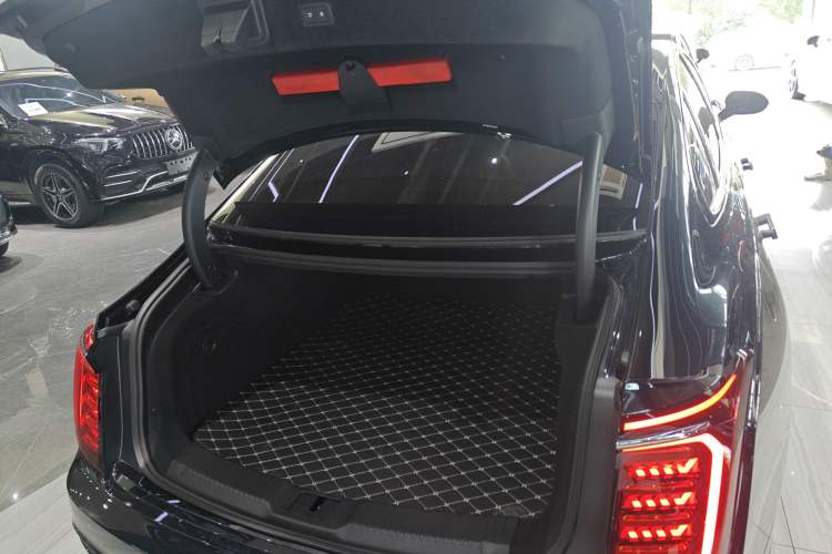 Used Hongqi H9 2024 2.0T Qixiang Private Style Edition
