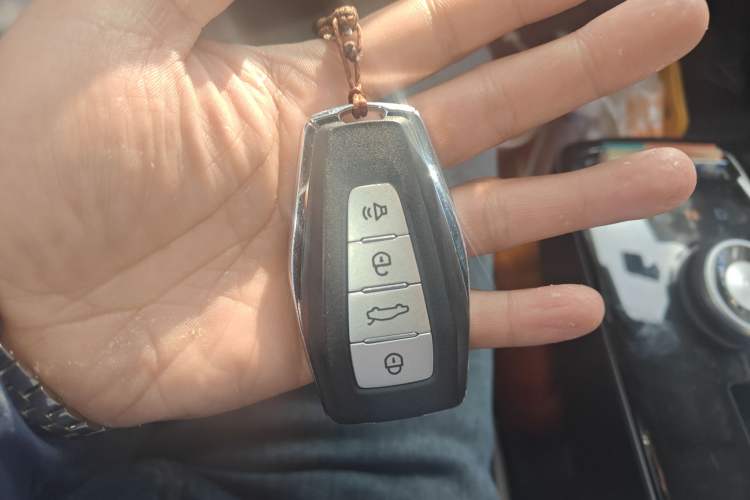 Used Geometry E Firefly 2023 401KM Linglong Tiger 5-Seater