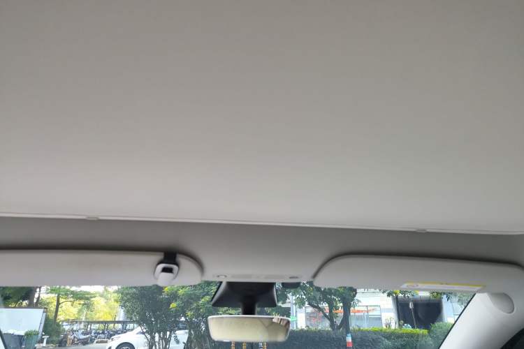 Used Tesla Model Y 2023 Rear-Wheel-Drive Version Headliner