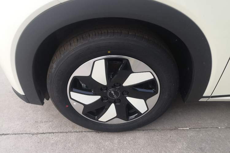 Used BYD Dolphin 2025 420km Free Edition Left Front Wheel Hub