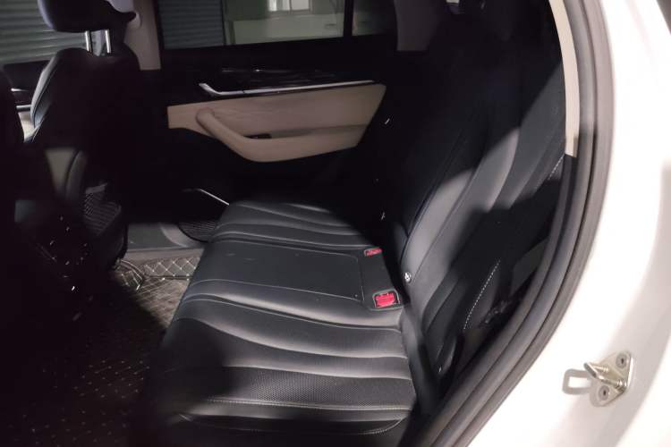 Used Geely Auto Monjaro L 2023 2.0TD High-Power Automatic Two-Wheel Drive Flagship Version Left Rear Seat