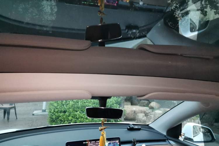 Used Tesla Model Y 2021 Standard Range Rear-Wheel Drive Version Headliner