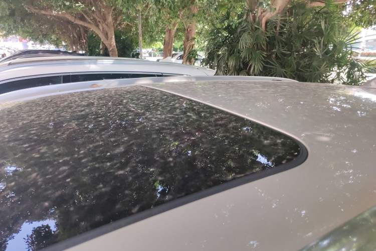 Used Mazda CX-5 2022 2.5L Automatic Two-Wheel Drive ZhiZun Version
