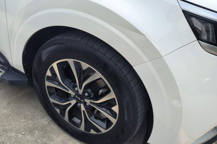 Used Kia Carnival 2021 2.0T Flagship Edition
