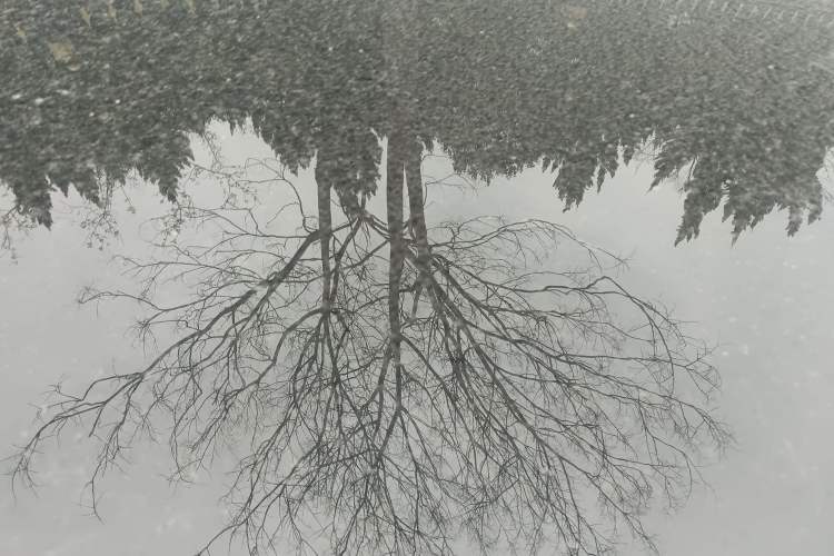 Used Jaguar E-PACE 2018 P250 SE China V-standard