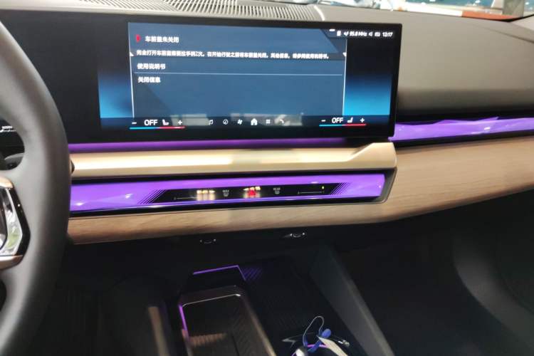 Used BMW 5 Series 2024 530Li Luxury Package Premium Edition