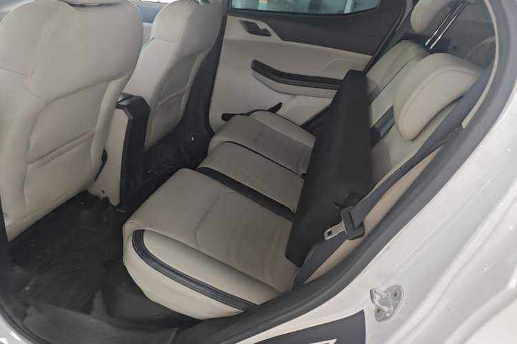 Used BYD Yuan Pro 2021 "Love for a Lifetime" Edition