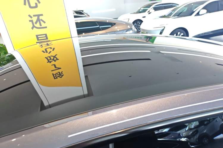 Used Tesla Model Y 2021 Performance High-Performance All-Wheel-Drive Version Roof