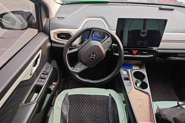 Used SOL E10X 2022 Flower Fairy Style Baby's Breath
