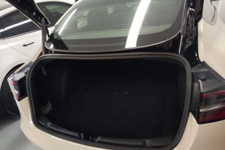 Used Tesla Model 3 2021 Performance High-Performance All-Wheel-Drive Version