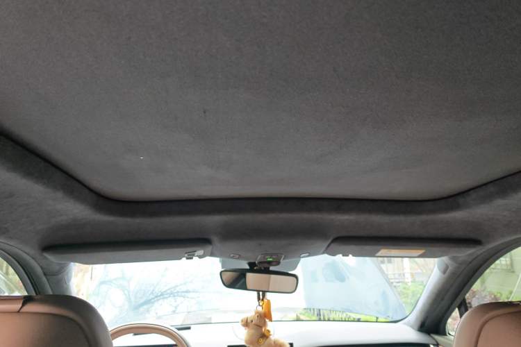 Used Nio ES8 2023 100kWh Signature Edition Headliner