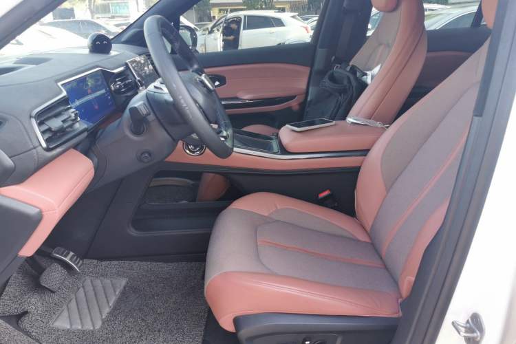 Used Nio EC6 2020 440 km Performance Version Left Front Seat