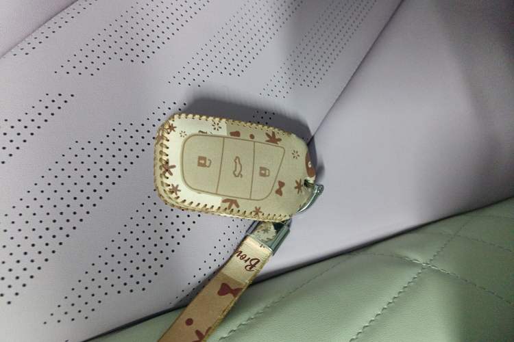 Used Chery Little Ant 2022 Updated Version Sweet Pink Edition Full Sugar Version Lithium Iron Phosphate 30.7 kWh 30 kW 301 km
