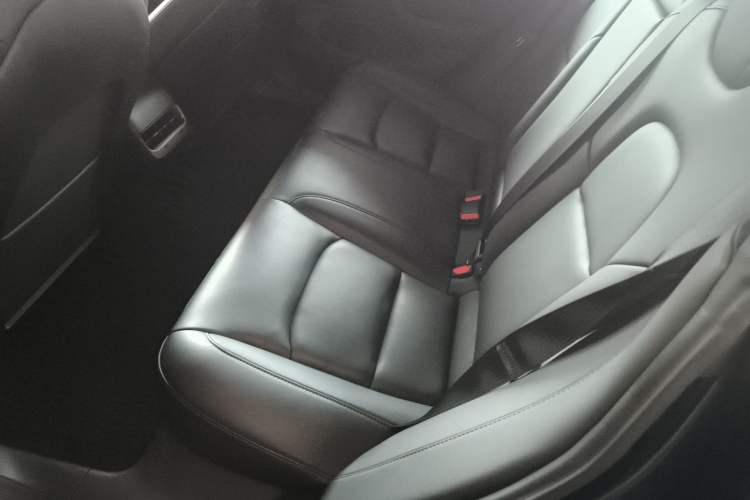 Used Tesla Model 3 2019 Long-Range Rear-Wheel-Drive Version Left Rear Seat