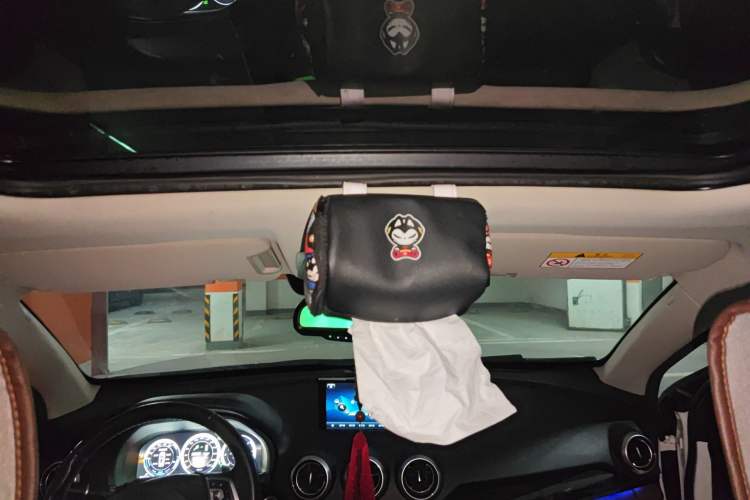 Used Wey P8 2018 2.0T Flagship Model Headliner