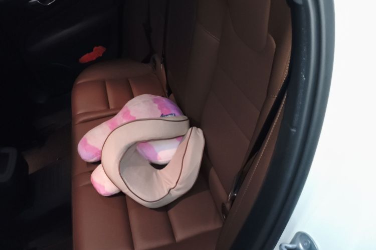 Used Volvo S60 2022 B4 Zhiyuan Luxury Edition Left Rear Seat