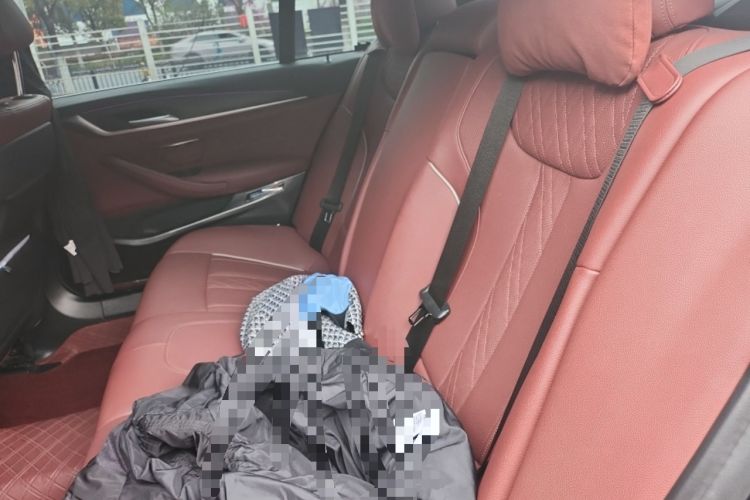 Used BMW 5 Series New Energy 2021 535Le M Sport Package Left Rear Seat