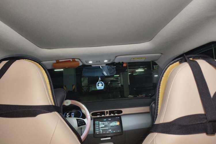 Used Leapmotor T03 2023 403 Smart Edition Headliner