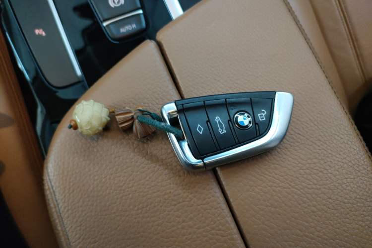 Used BMW 5 Series 2018 528Li Launch Special Edition
