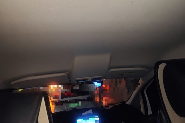 Used Ford EcoSport 2018 1.5L Automatic Platinum Wing Model Headliner