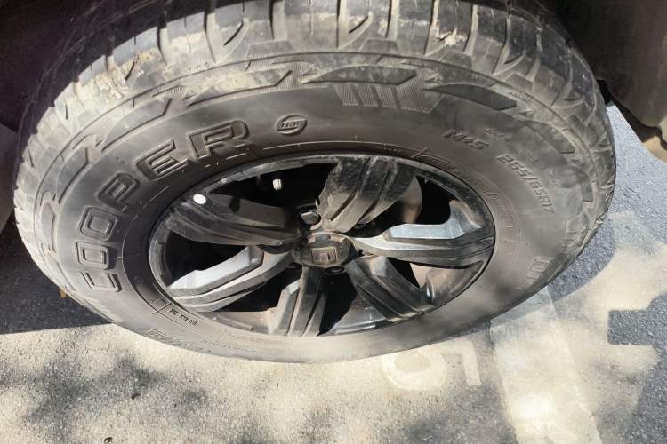 Used Tank 300 2021 Off-Road Edition 2.0T Conqueror