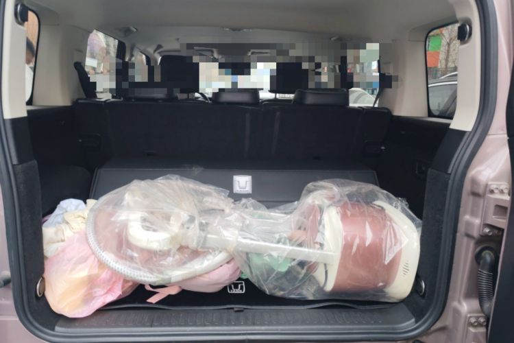 Used Tank 300 2021 City Edition 2.0T My Vision Model
