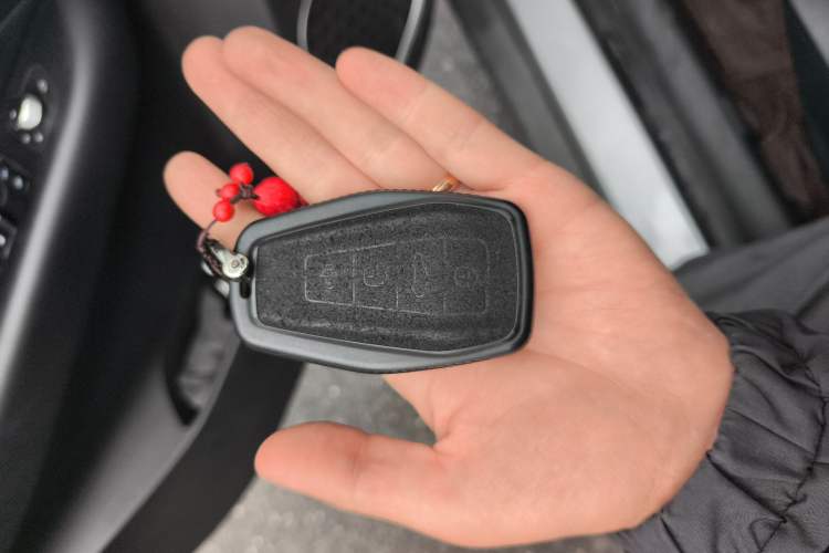 Used Geometry C 2020 Selected Range Edition 550 KM C++