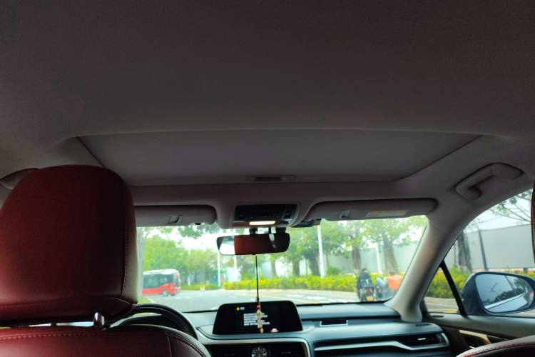 Used Lexus RX 2020 Revised Version 300 Two-Wheel Drive Elite Edition Headliner