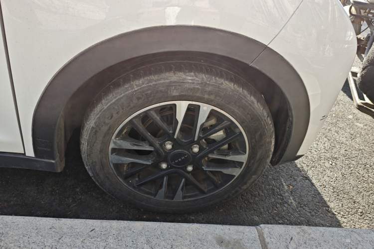 Used Chery Little Ant 2023 251km True Love Edition Lithium Iron Phosphate
