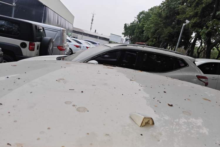 Used Volkswagen Polo 2023 Revised Plus 1.5L Automatic – Enjoy Life Edition
