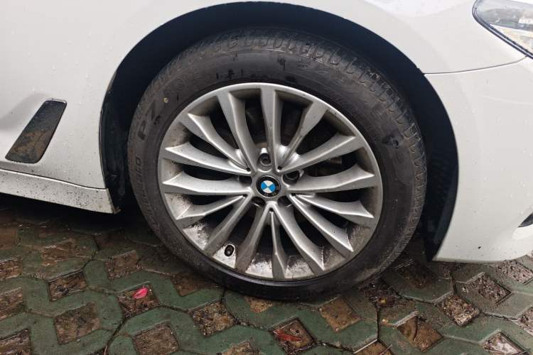 Used BMW 5 Series 2020 525Li Luxury Package