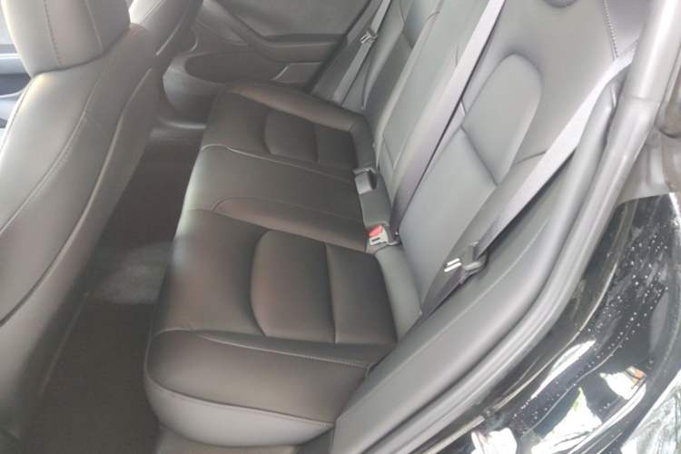 Used Tesla Model 3 2022 Performance High-Performance All-Wheel-Drive Version Left Rear Seat