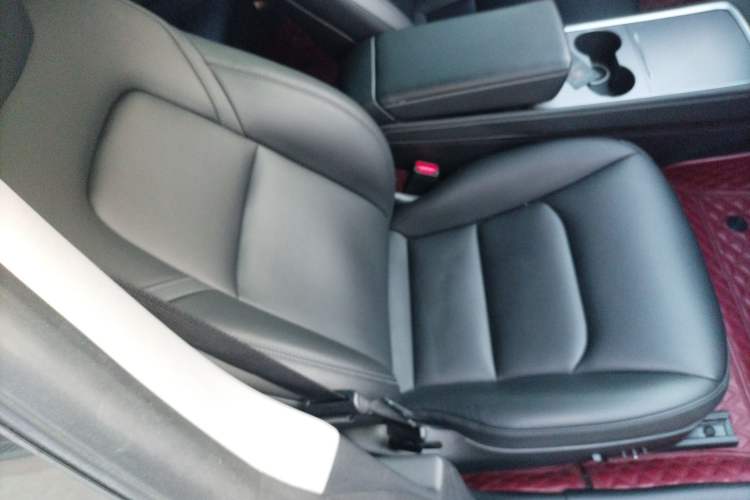 Used Tesla Model 3 2021 Revised Version Standard Range Rear-Wheel Drive Upgraded Edition 3D1