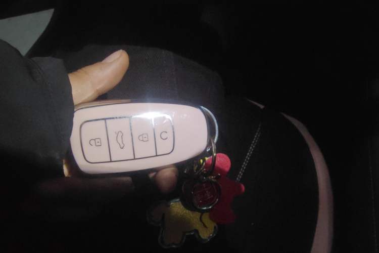 Used Chery Fengyun A8 2024 127 Far Voyage Luxury Edition