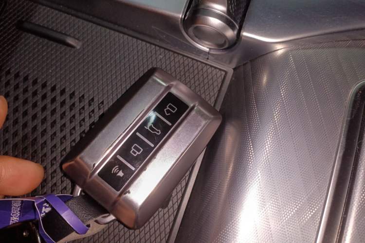 Used Tank 700 New Energy 2024 Hi4-T Extreme Edition Vehicle Key