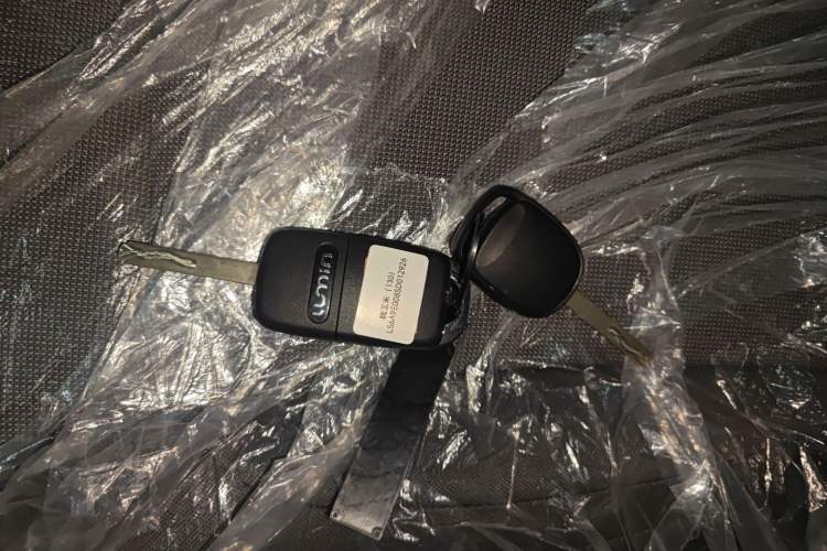 Used Qiyuan Lumin 2024 130km Qingyue Version
