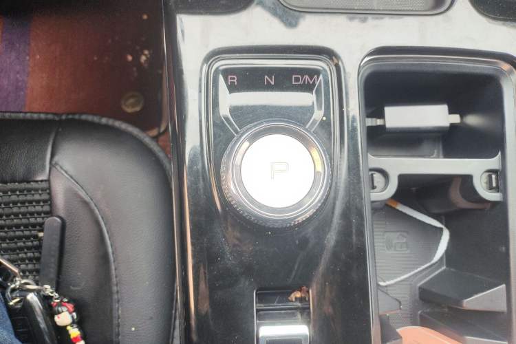 Used Haval DARGO 2021 2.0T DCT 4x4 Chinese Rural Dog Edition
