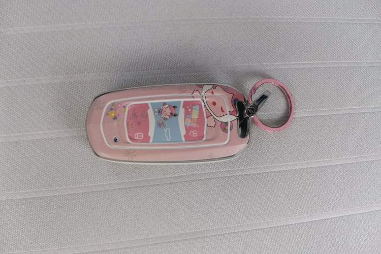 Used Geely Galaxy Panda 2025 210 km – Yuanqi Bear