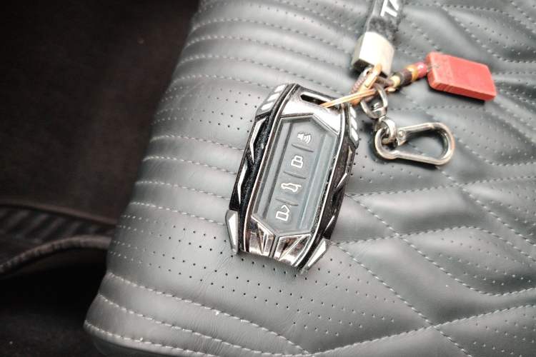 Used Tank 500 2022 3.0T Black Warrior Limited Edition 5 Seats
