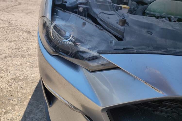 Used Ford Mustang 2019 2.3L EcoBoost Performance Enhanced Edition