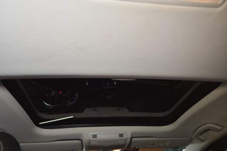 Used Volkswagen Golf Pure Electric 2020 Chariot Pro Headliner