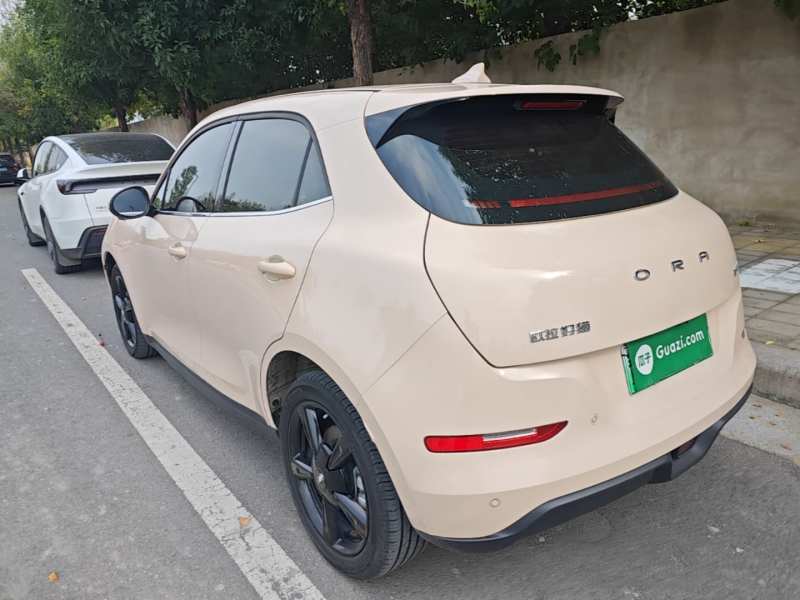 Used ORA Good Cat 2024 401 km Luxury Version — 4